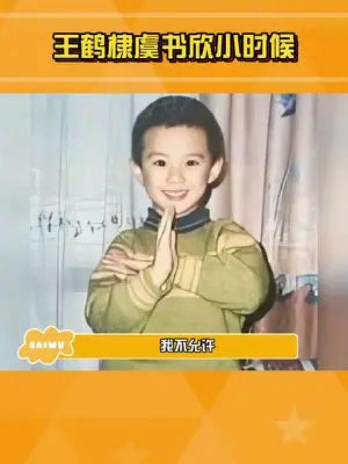 娱乐爆料虞书欣王鹤棣,甜蜜互动引粉丝热议